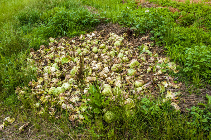 迷信　謎　解明