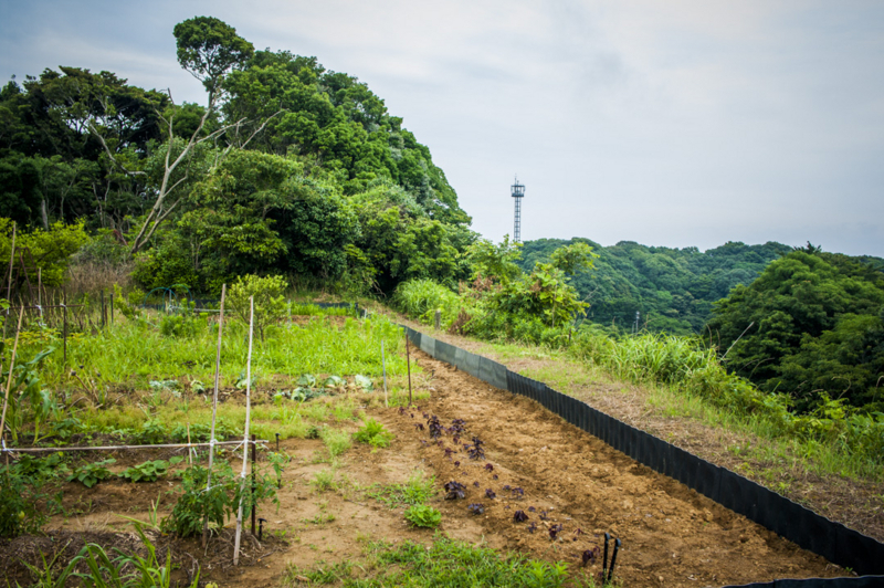 湖西市　入口　袈裟切り地蔵