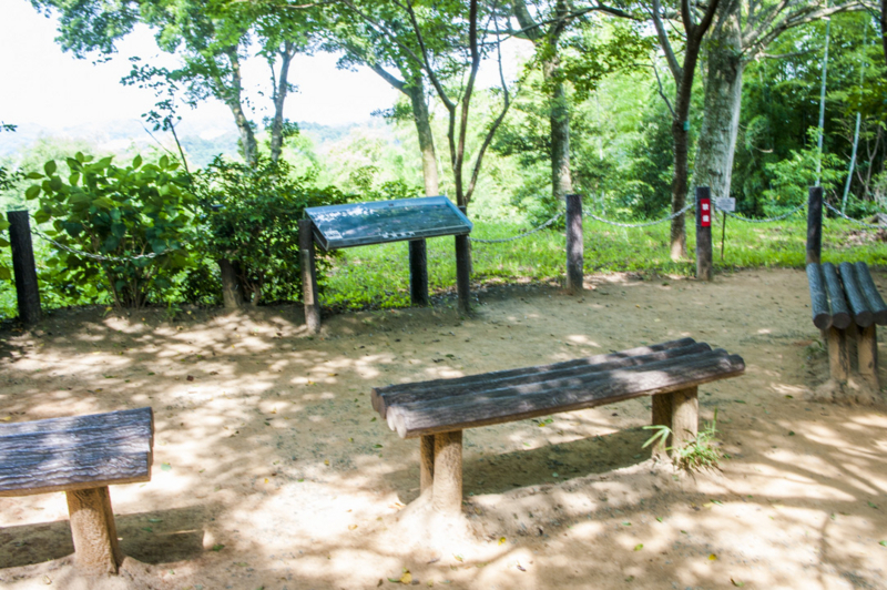 f:id:amano_shintaro:20170719202633j:plain