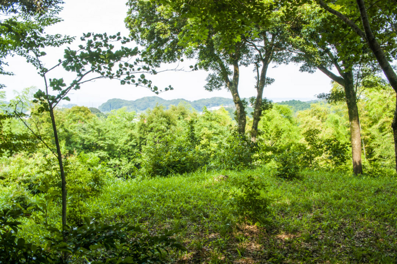 f:id:amano_shintaro:20170719202634j:plain