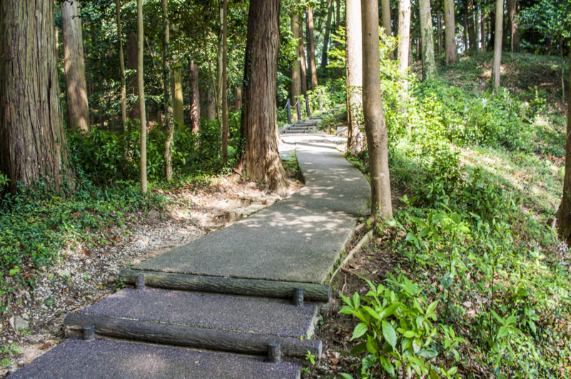 f:id:amano_shintaro:20170719202637j:plain