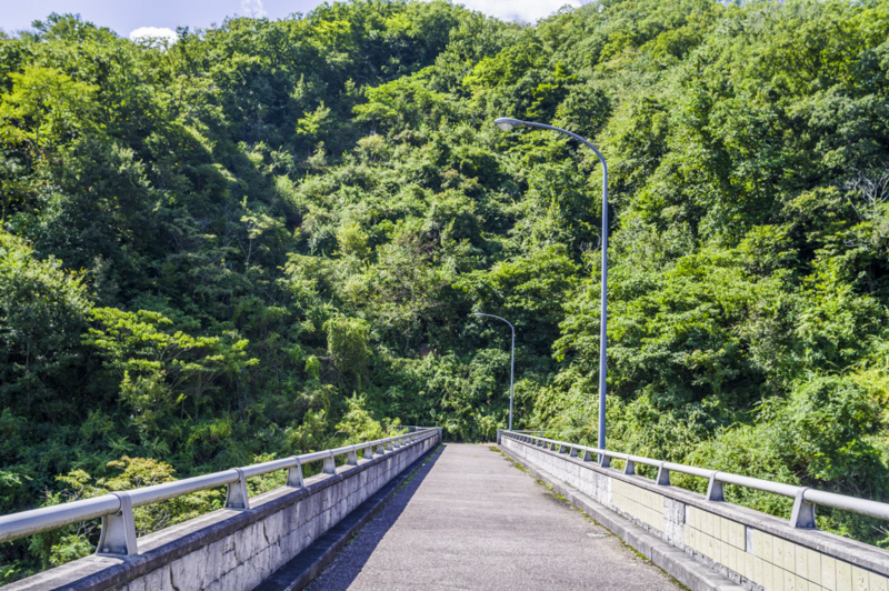 f:id:amano_shintaro:20171109205514j:plain