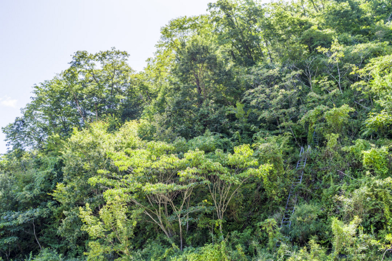 f:id:amano_shintaro:20171109205516j:plain