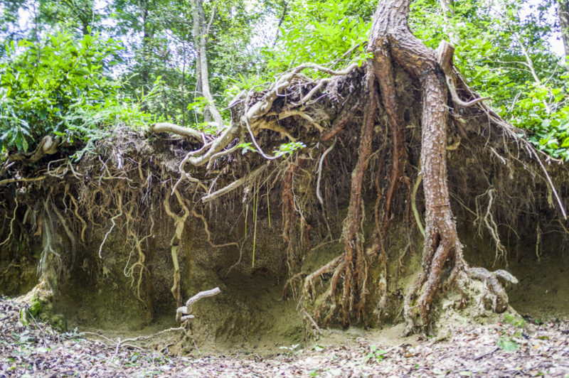 f:id:amano_shintaro:20171109205523j:plain