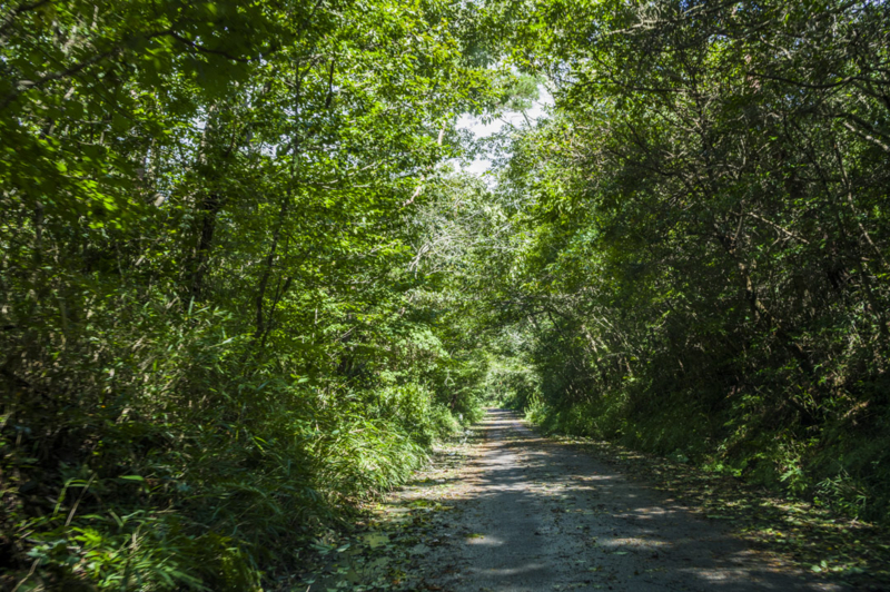 f:id:amano_shintaro:20171109205524j:plain