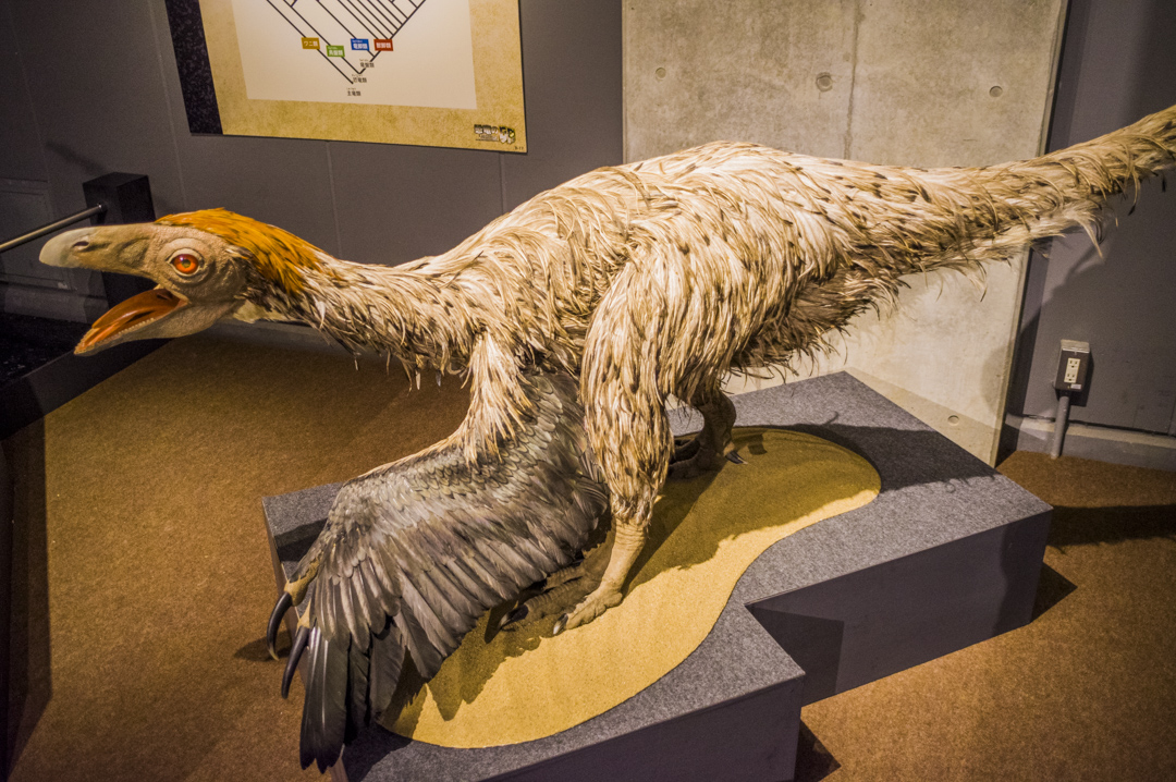 f:id:amano_shintaro:20171129193418j:plain