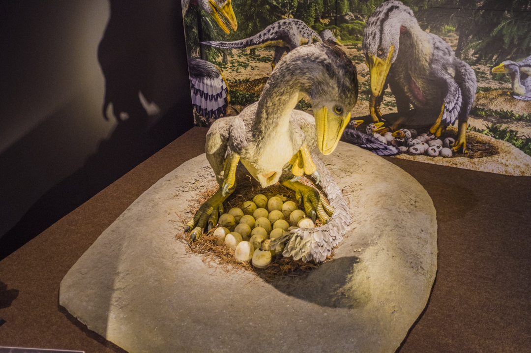 f:id:amano_shintaro:20171129193423j:plain