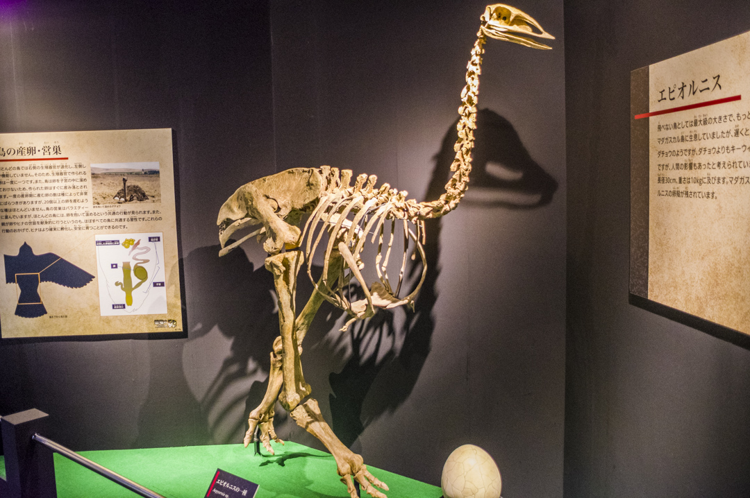 f:id:amano_shintaro:20171129193427j:plain