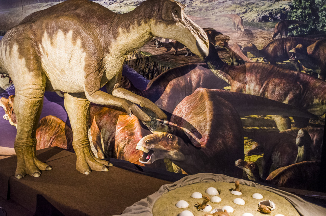 f:id:amano_shintaro:20171129193431j:plain