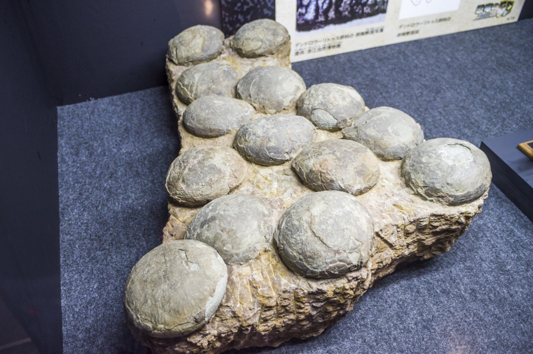 f:id:amano_shintaro:20171129193451j:plain