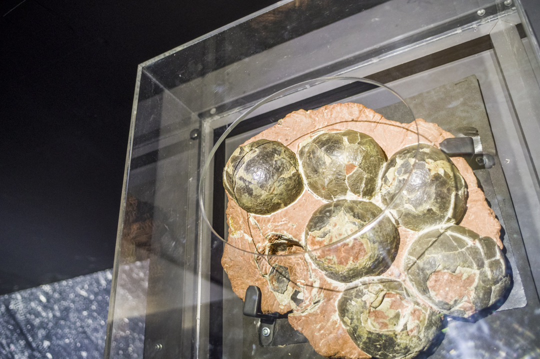 f:id:amano_shintaro:20171129193456j:plain