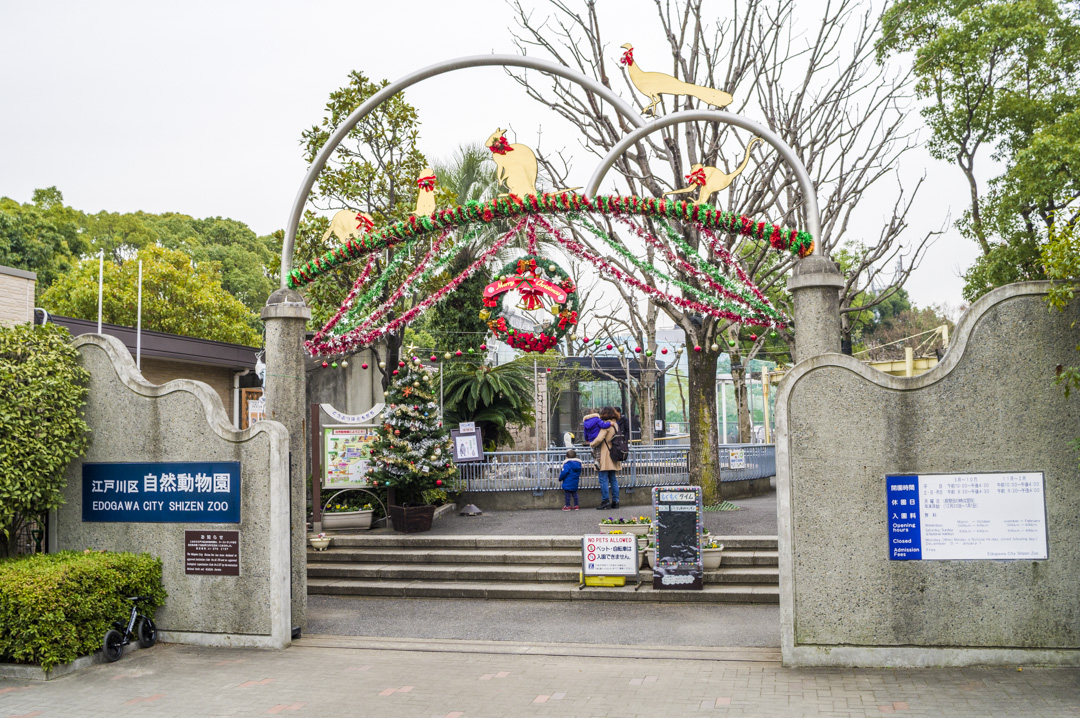 行船公園の江戸川区自然動物園クリスマスバージョン