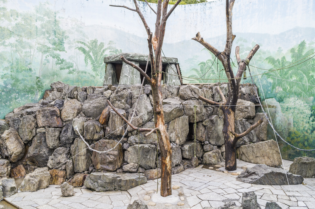 江戸川区自然動物園サル山閉鎖
