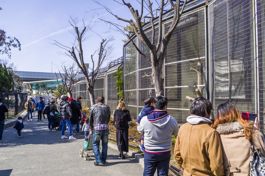大阪動物園天王寺動物園の混雑具合