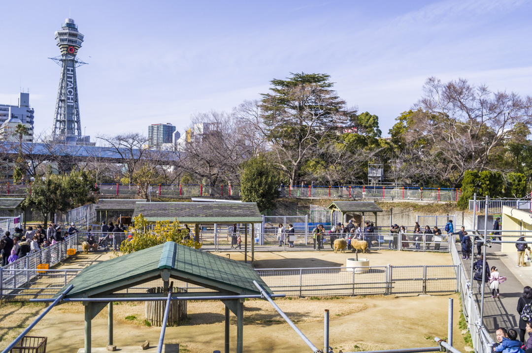 天王寺動物園ふれあいコーナーと通天閣