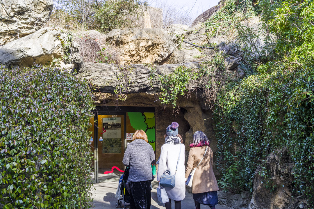 天王寺動物園の爬虫類館の洞窟