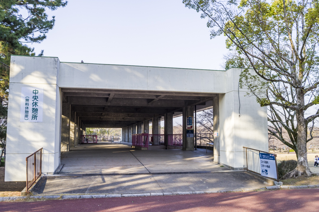 太陽の塔を見下ろし そして見下ろされる 日本万国博覧会記念公園 写真家あまのしんたろう公式ブログ ヤミーアートブログ