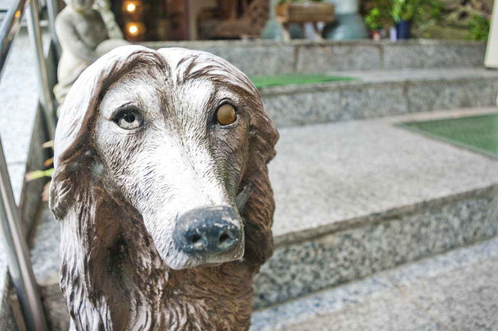 グリーンホテルリッチ徳川園　番犬　ビジネスホテル