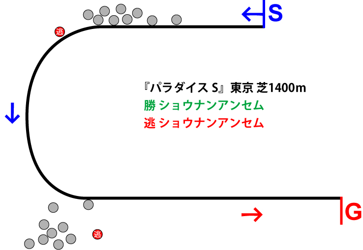 パラダイスステークス2018年レース展開位置取り図