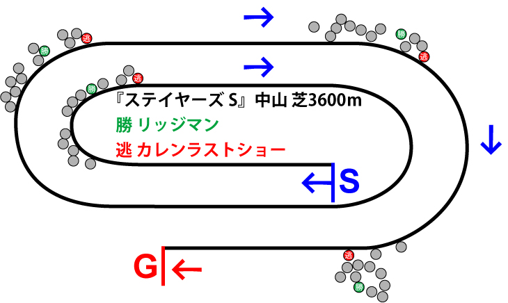 ステイヤーズステークス2018年のレース展開位置取り図