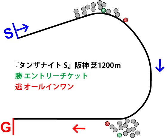 タンザナイトステークス2018年のレース展開位置取り図