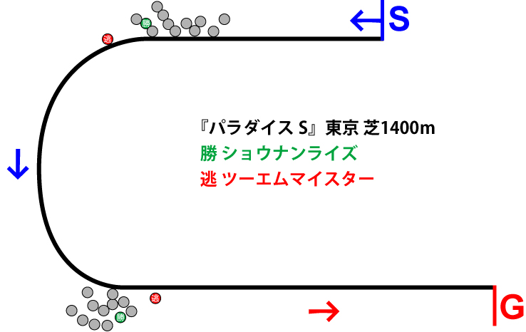 パラダイスステークス2019年のレース展開位置取り図