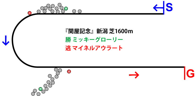 関屋記念2019年のレース展開位置取り図