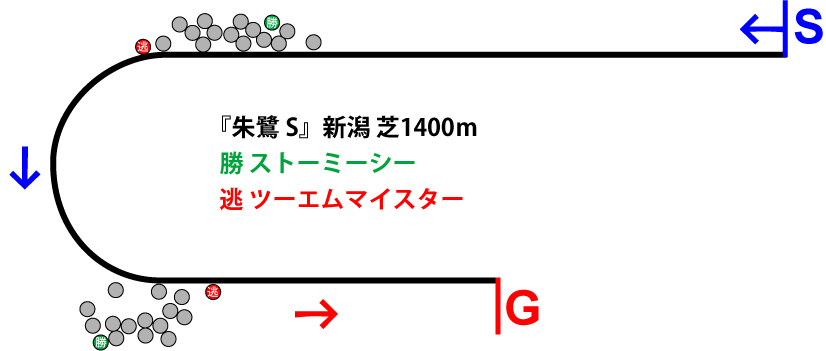 朱鷺ステークス2019年のレース展開位置取り図