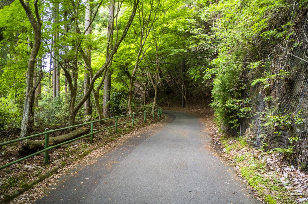 鳳来寺山の道