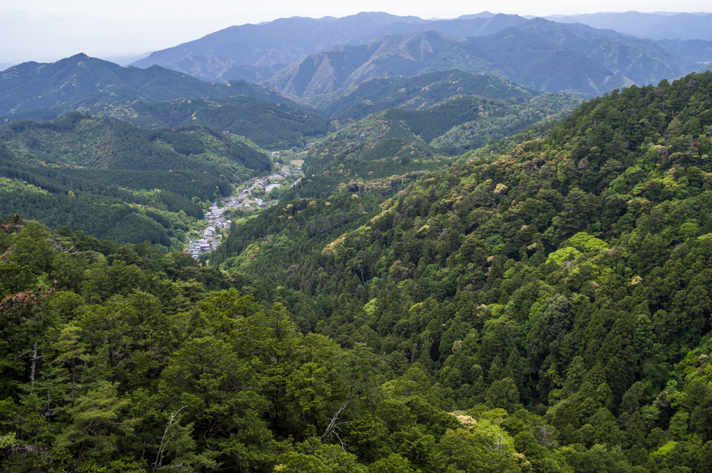 五郎塚からの眺め