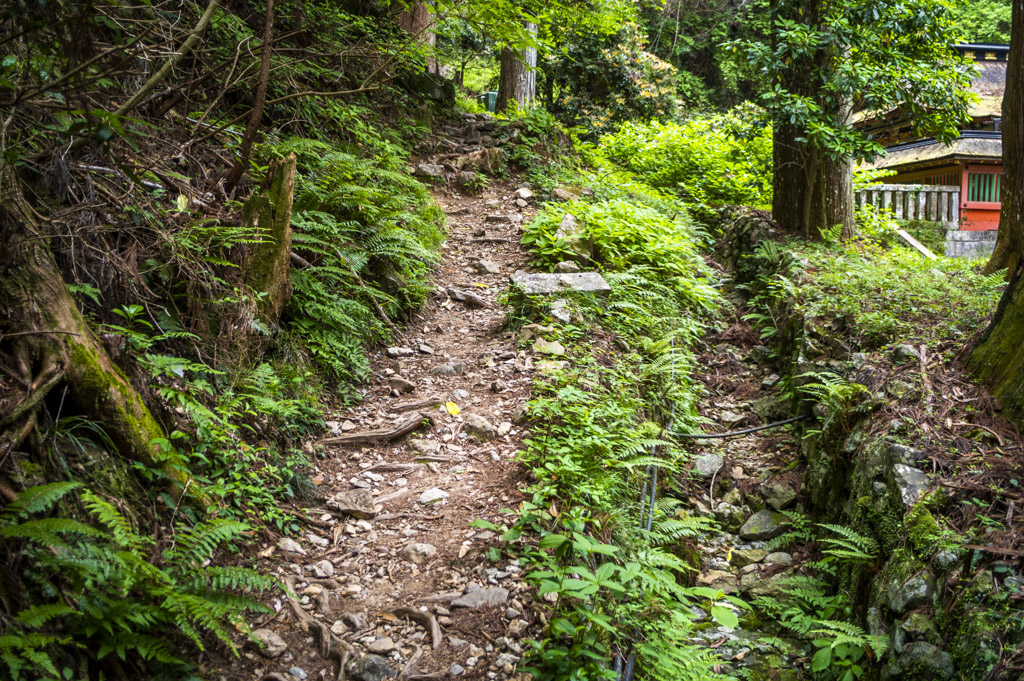 鳳来寺山の自然歩道