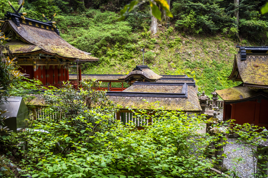 鳳来山東照宮の屋根
