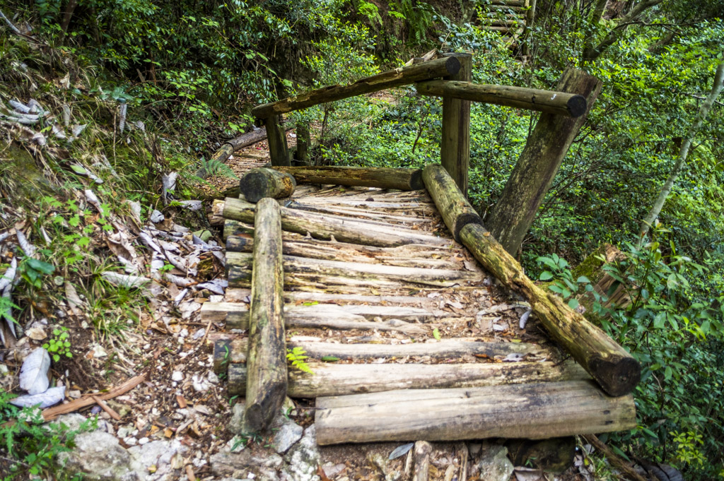 鳳来寺山の自然歩道の階段