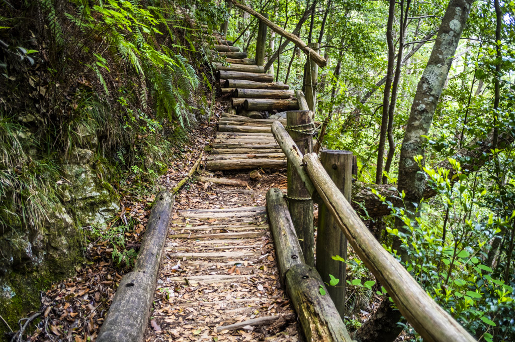 鳳来寺山の自然歩道の階段