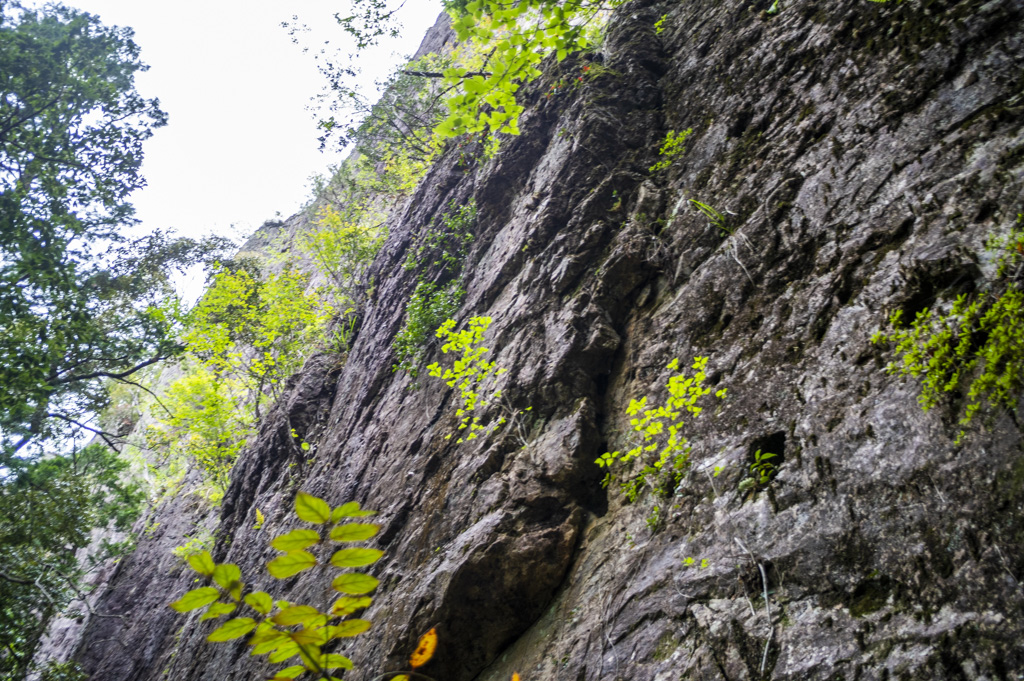 鳳来寺山鏡岩下