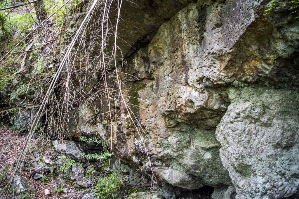 鳳来寺山龍の爪痕