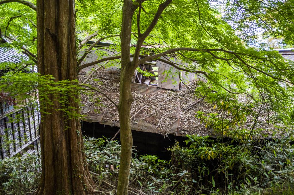 宿坊エリアの家