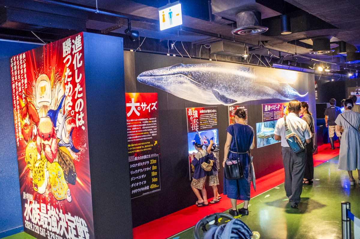 展示が尖ってる水族館｜碧南海浜水族館の特別展が毎回ちょっと変で