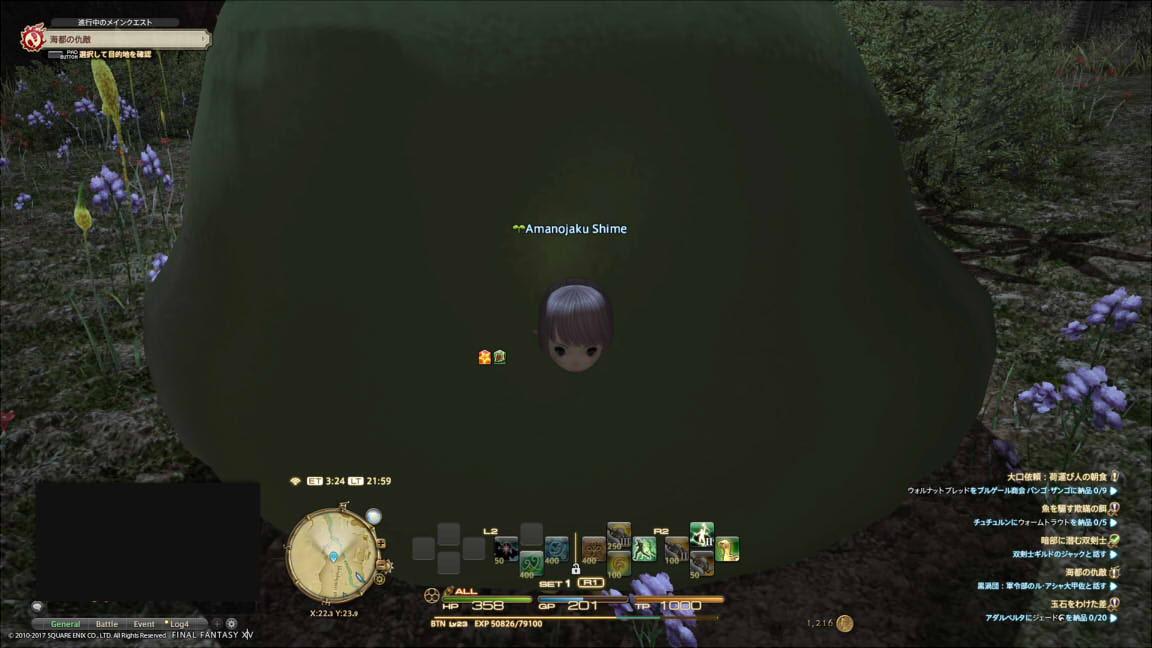 Ff14 日記 掘り出し物発掘ｗ あまのの奮闘記