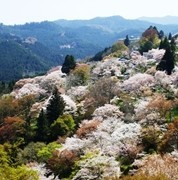 f:id:amanokakeru:20181122074945j:plain f:id:amanokakeru:20181122074945j:plain