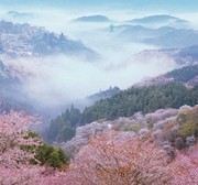 f:id:amanokakeru:20181209074016j:plain f:id:amanokakeru:20181209074016j:plain
