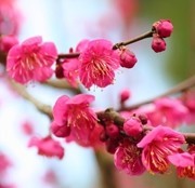 f:id:amanokakeru:20200621065329j:plain f:id:amanokakeru:20200621065329j:plain