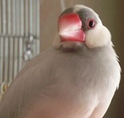 f:id:amanokakeru:20200921070145j:plain f:id:amanokakeru:20200921070145j:plain