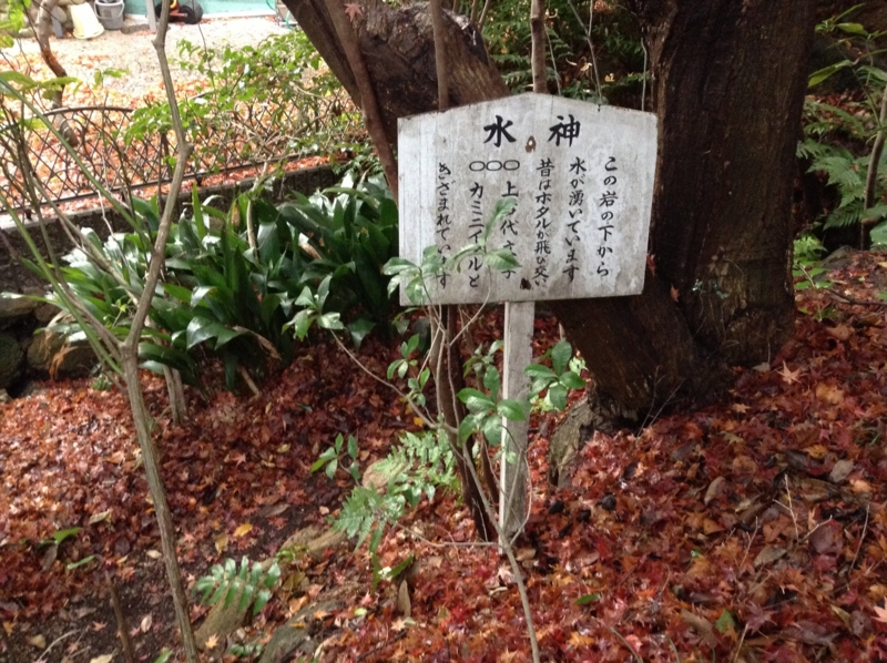 f:id:amanokotone:20141211210711j:image:w360:left f:id:amanokotone:20141211210711j:image:w360:left