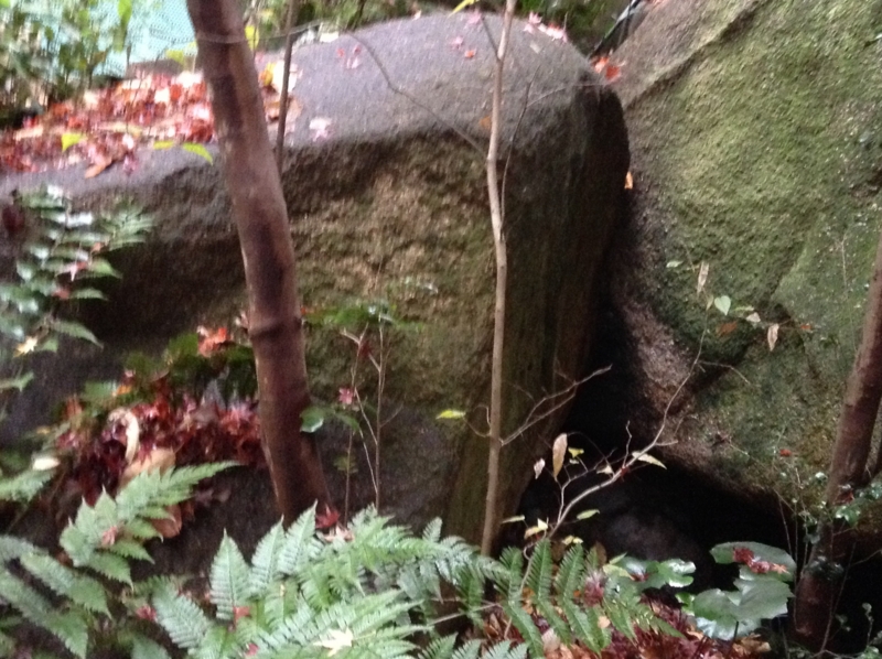 f:id:amanokotone:20141211211503j:image:w360:left f:id:amanokotone:20141211211503j:image:w360:left