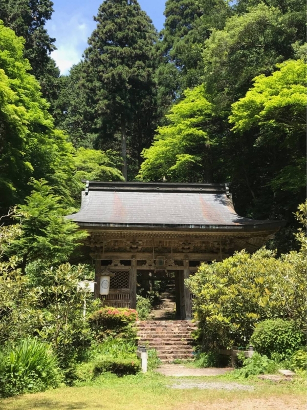 f:id:amanokotone:20180605080546j:image