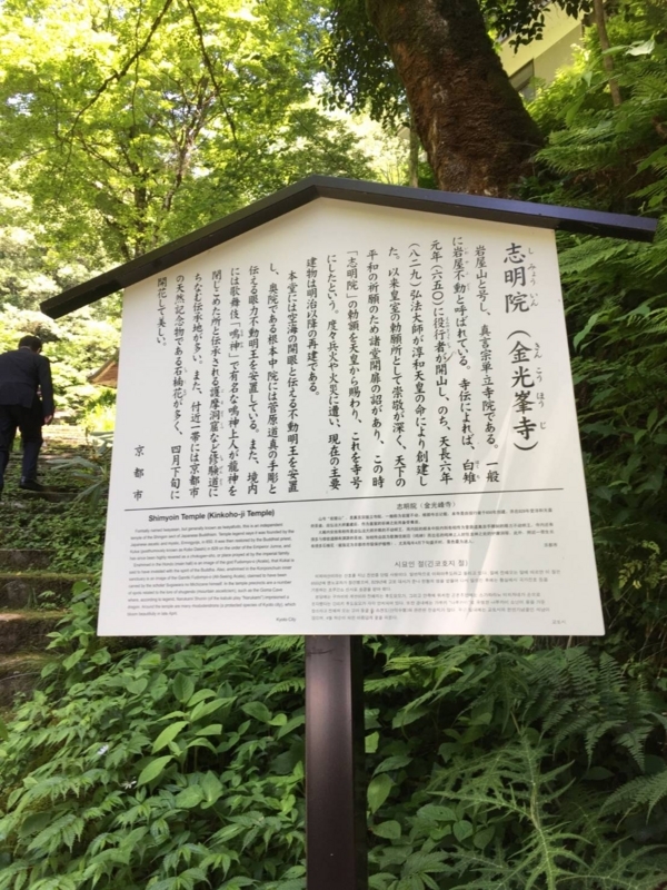 f:id:amanokotone:20180605110655j:image
