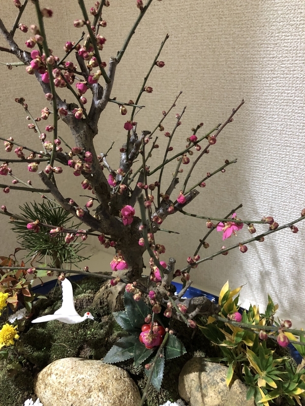 f:id:amanokotone:20190106182342j:image f:id:amanokotone:20190106182342j:image