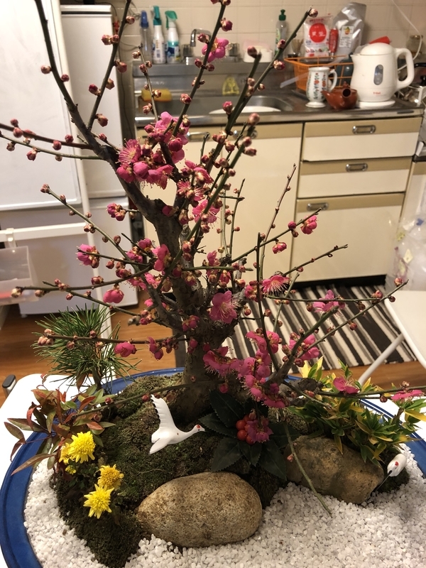 f:id:amanokotone:20190110015545j:image