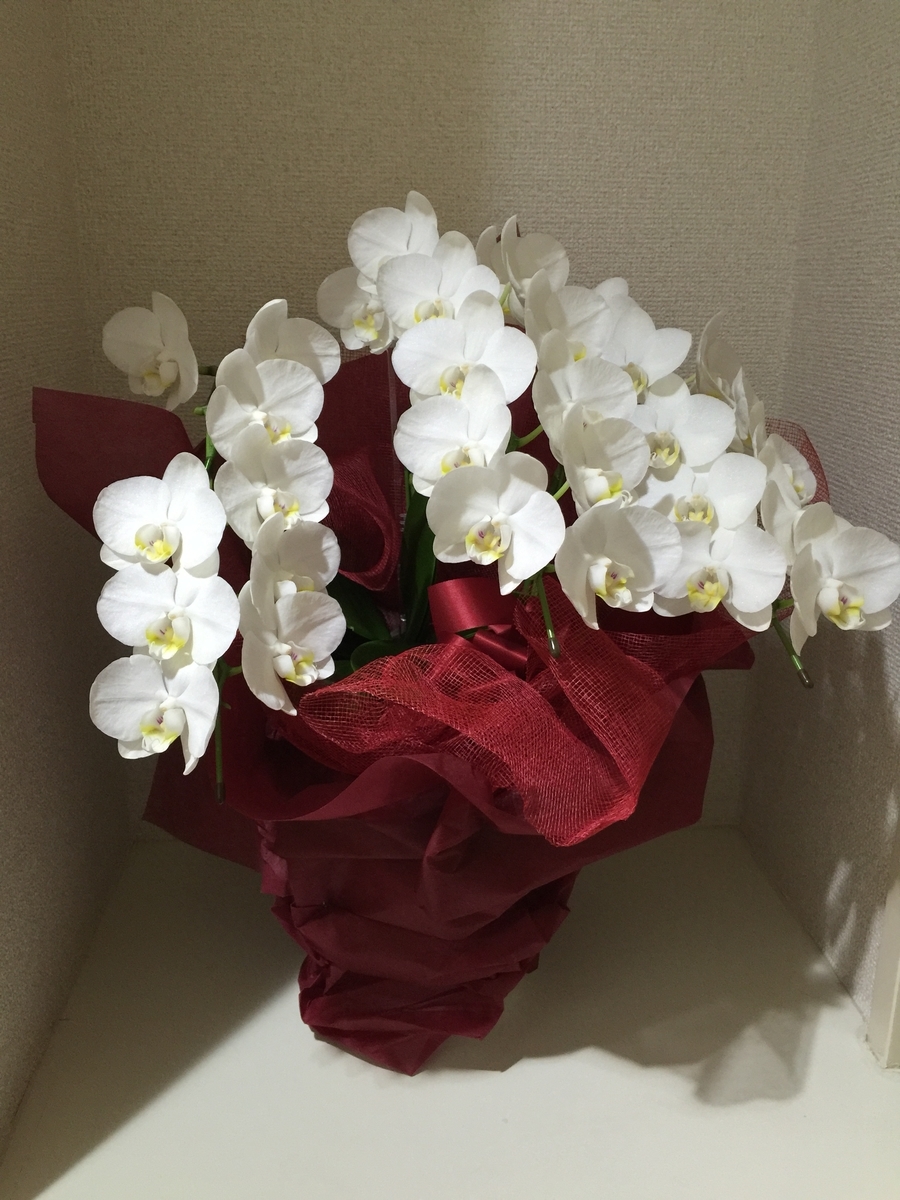 f:id:amanokotone:20190401060355j:plain